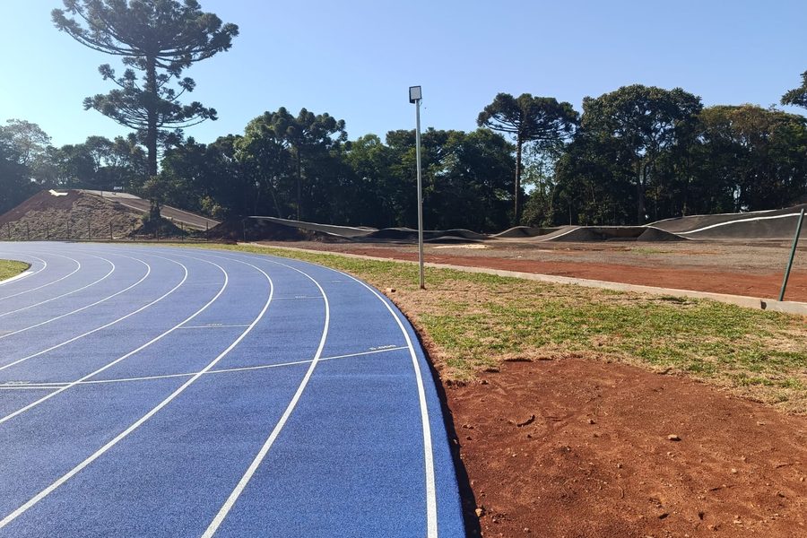 Curva da pista azul com araucária ao fundo